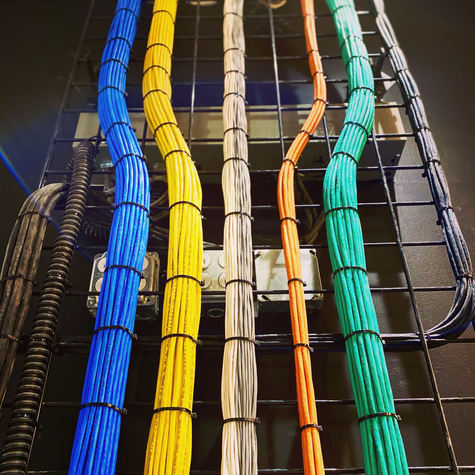 Colour-coded structured cabling dressed through a tray