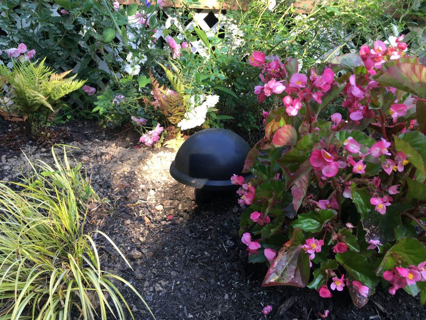 A garden speaker among flowers with landscape lighting behind it
