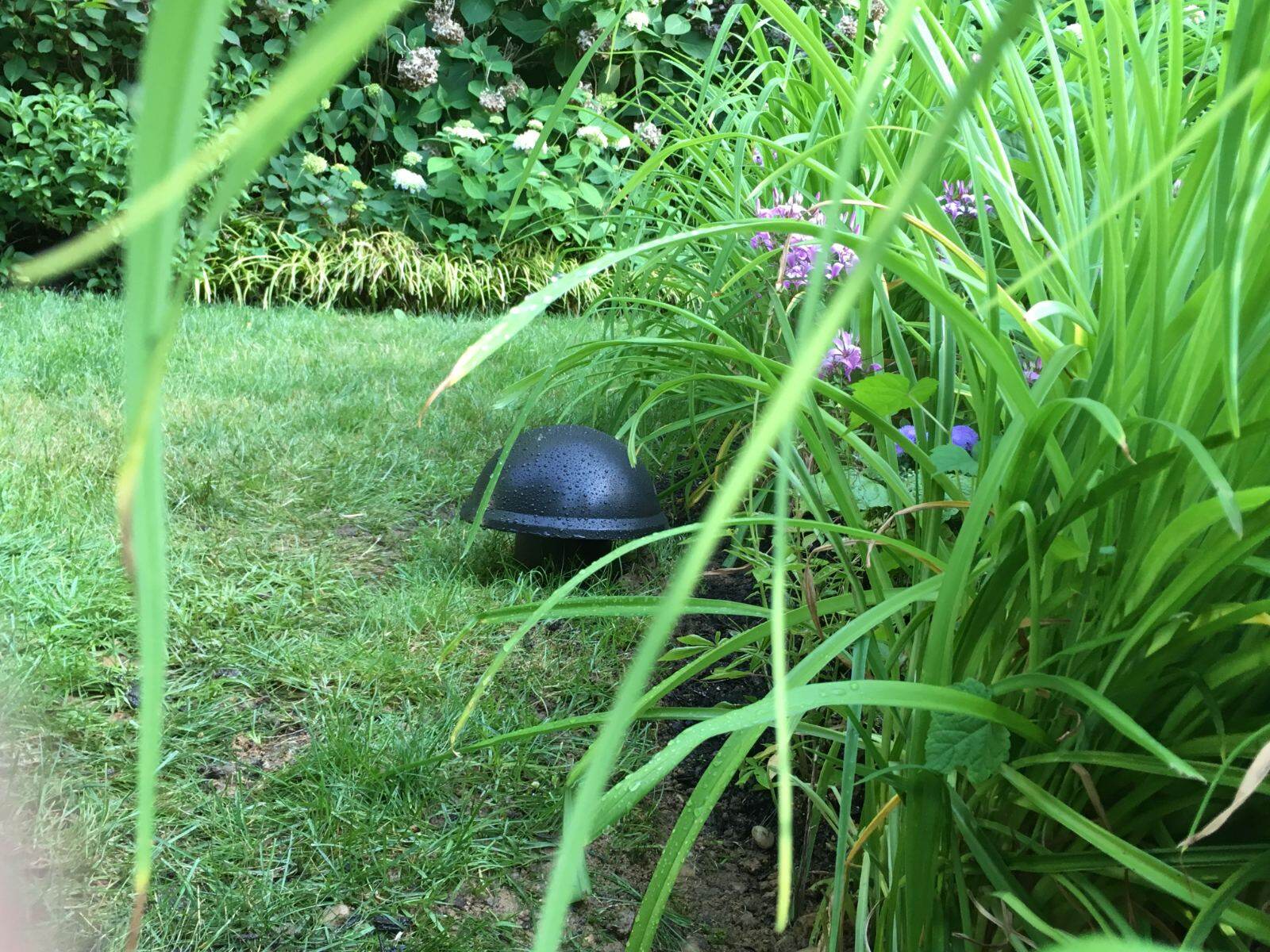 A buried subwoofer sitting flush with the lawn