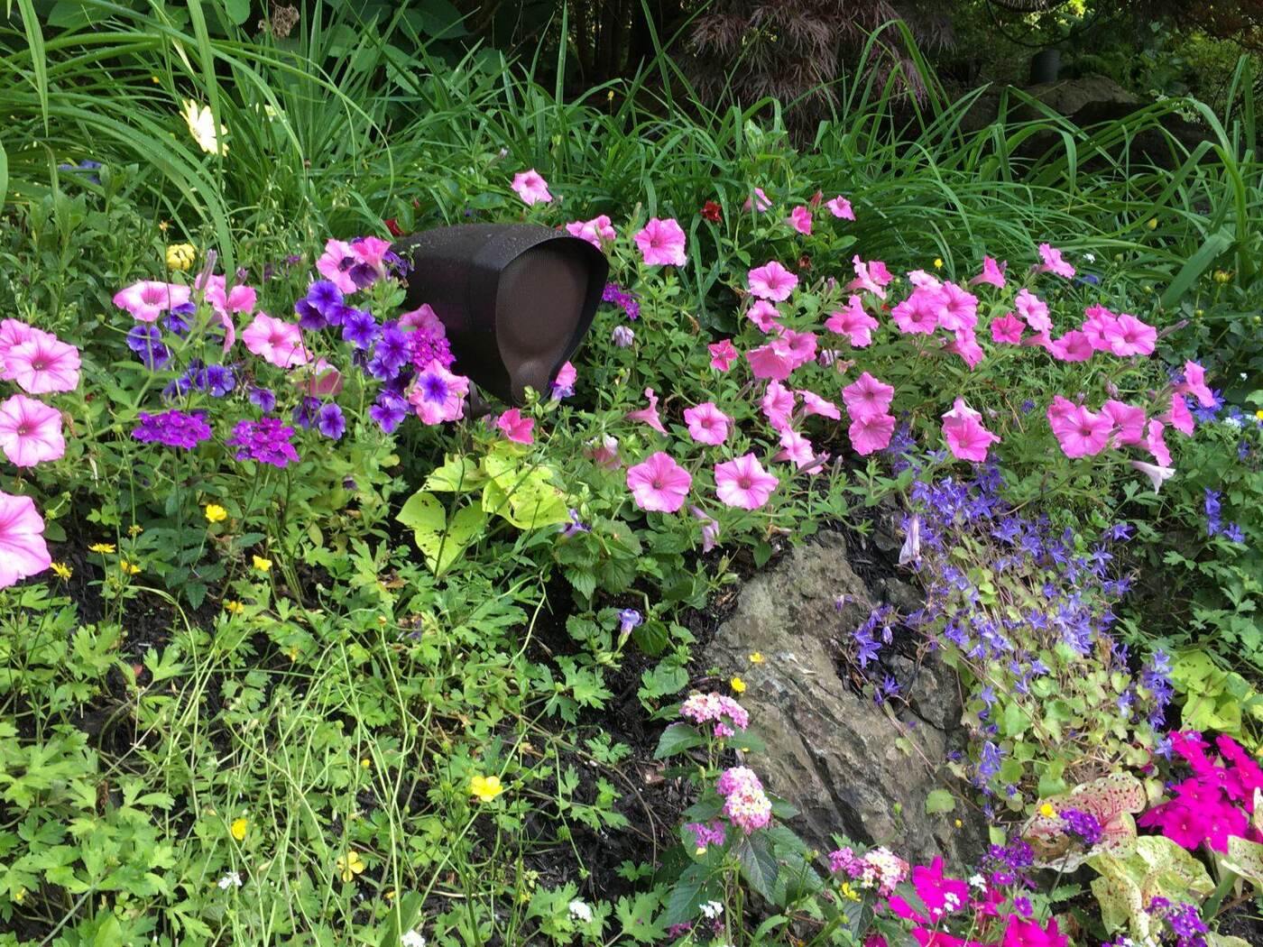 A landscape speaker set low among flowering plants